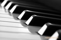 1000 - piano keys.jpg