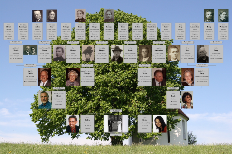 Veredelte Ahnentafel der Familie Hefele